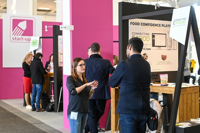 START-UP DAY