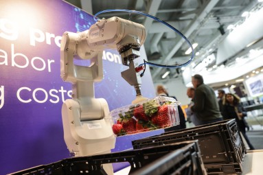 A white robotic arm lifts a bowl of strawberries