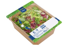 Nachhaltige Salatverpackung